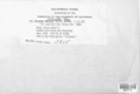 Image Associated With the Occurence